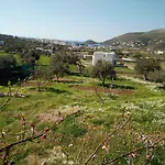 Valentino Tatil Evi